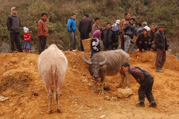 Xuống chợ phiên vùng biên ảnh 4